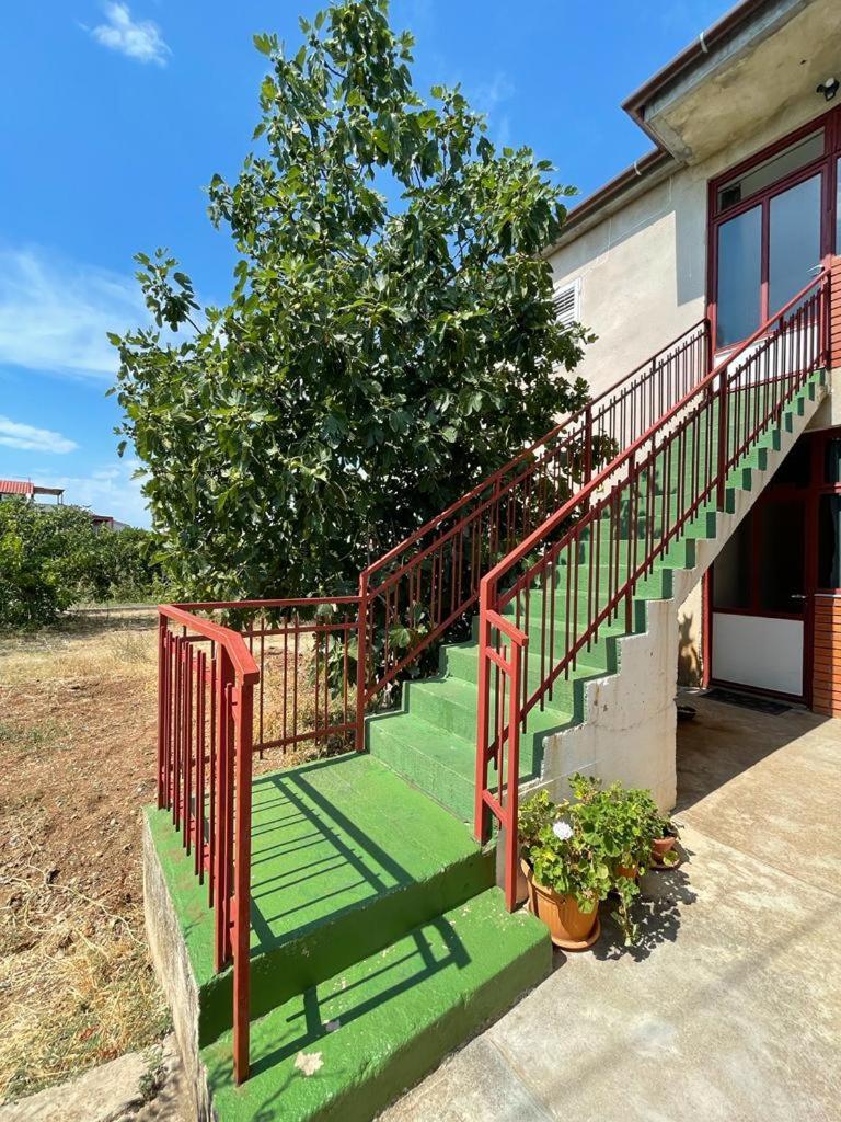 Guesthouse Davorka Bijelic 穆泰尔岛 客房 照片